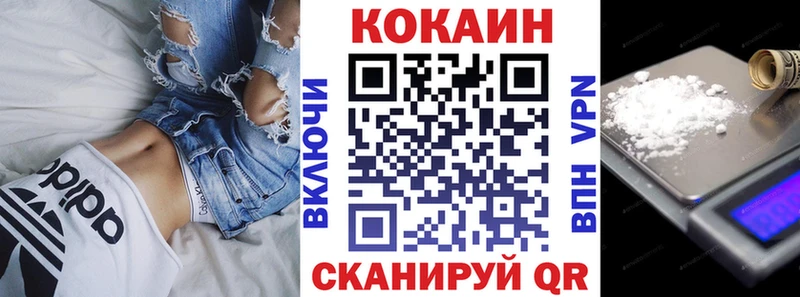 COCAIN FishScale  Купить закладки  Колпашево 