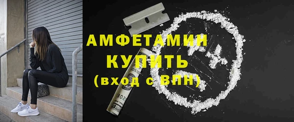 шишки Верхний Тагил