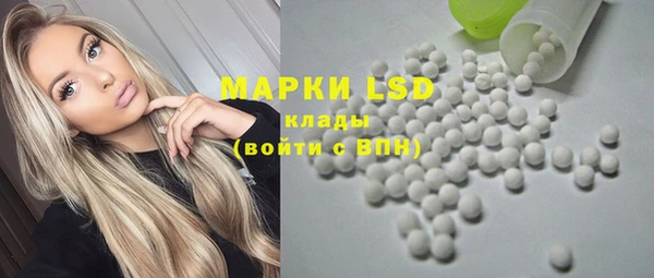 шишки Верхний Тагил