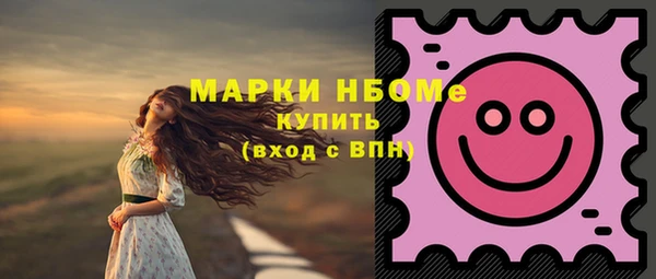 шишки Верхний Тагил