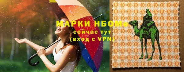 шишки Верхний Тагил