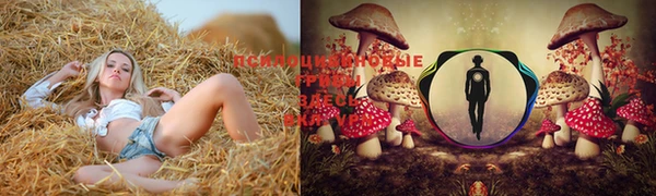 шишки Верхний Тагил