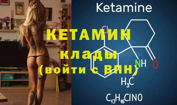 шишки Верхний Тагил
