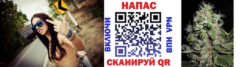 Купить  Колпашево  Каннабис семена 